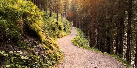 Treking - 6