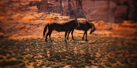 Grand Canyon - 2
