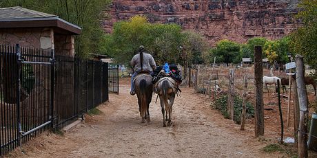 Grand Canyon - 3