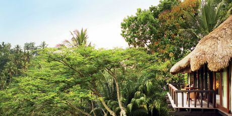 COMO Shambhala Estate, Indonezija