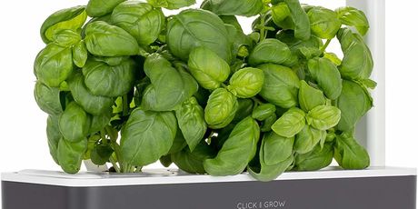 Smart Garden 3 - 2