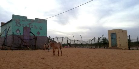 Goran Blažević u Mauritaniji - 9