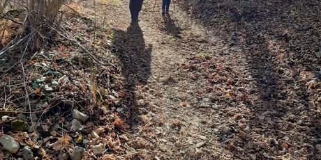 Planinarski put do Cerinskog vira