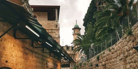 Zapadna Obala, Palestina - 7