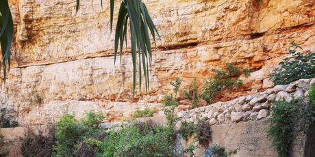 Zapadna Obala, Palestina - 9
