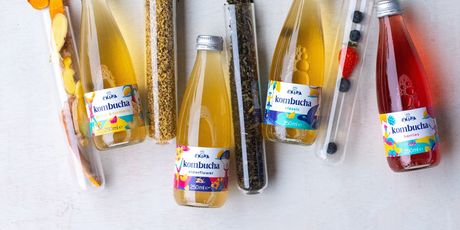 Kombucha - 3