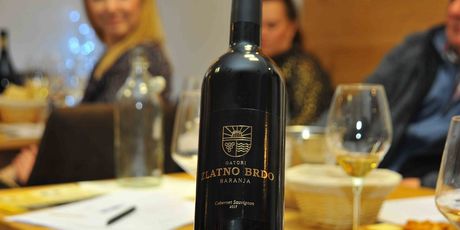 Zlatno brdo - 4