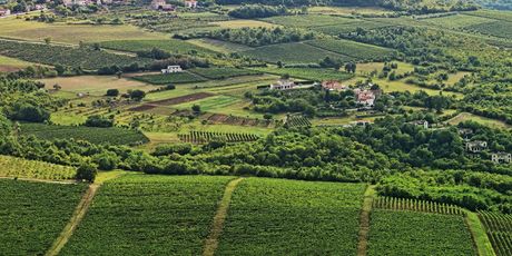 Istra