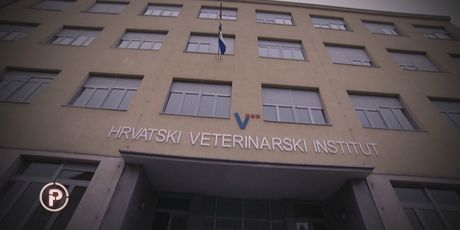 Provjereno: Hrvatski veterinarski institut - 1