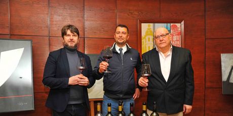 Pelješki vinogradar - 1