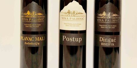 Pelješki vinogradar - 3