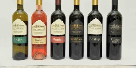 Pelješki vinogradar - 4