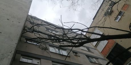 Jak vjetar izazvao niz problema u Osijeku - 2