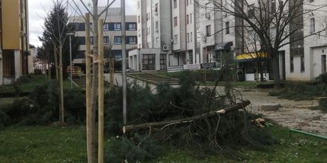 Jak vjetar izazvao niz problema u Osijeku - 3
