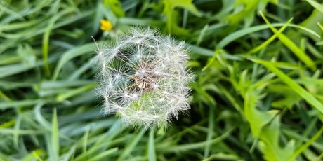 Huawei Mate50 Pro - 9