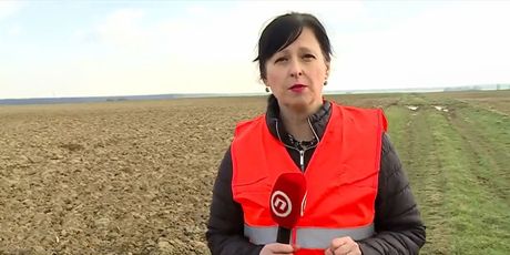 Marina Bešić Đukarić, reporterka Nove TV