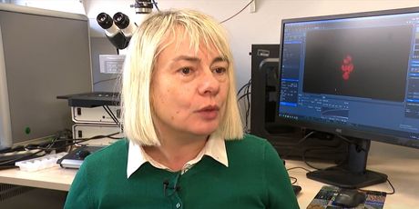 Blaženka Gašparović