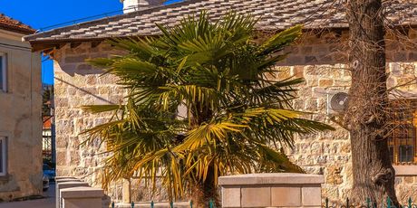 Trebinje - 9