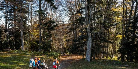 Highlander Medvednica - 11