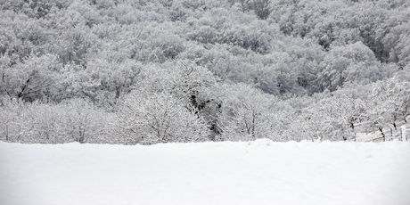 Snijeg u Varaždinu - 7