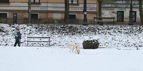 Snijeg u Zagrebu - 16