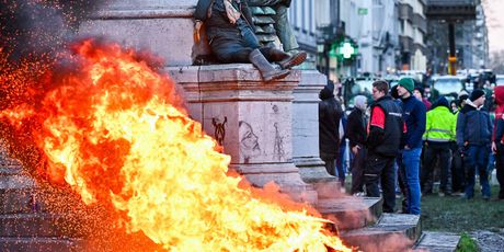 Prosvjed seljaka u Bruxellesu - 3