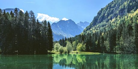 Planšarsko jezero ljeti