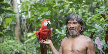 Huaorani - 1