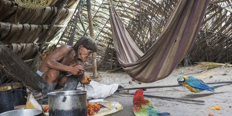 Huaorani - 4