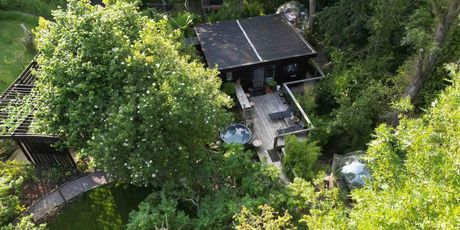 Nature's Edge Cabin