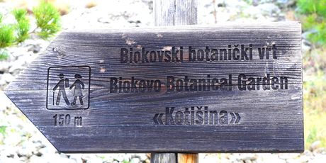 Selo Kotišina ispod Biokova - 18