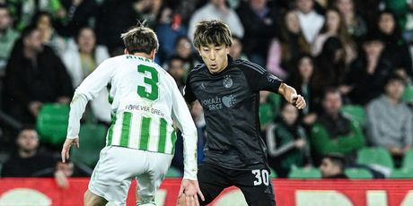 Betis - Dinamo