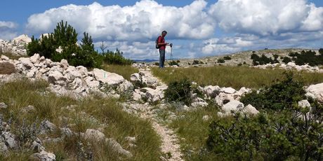 Kvarnerski otoci pješice i biciklom - 31