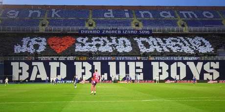 Bad Blue Boysi