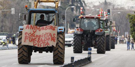 Prosvjed poljoprivrednika u Madridu - 1