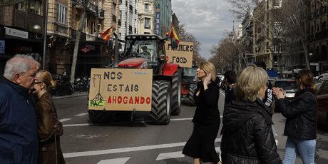 Prosvjed poljoprivrednika u Madridu - 3