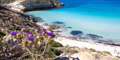 Spiaggia dei Conigli