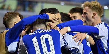 Slavlje igrača Dinama