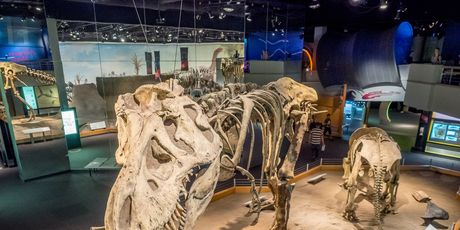 Drumheller - 3