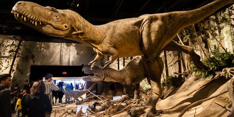 Drumheller - 4