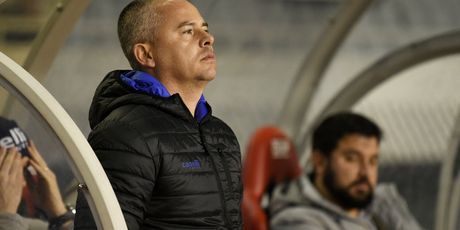 Nikola Šafarić