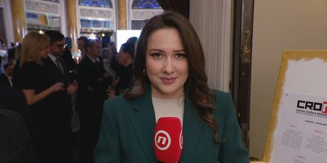 Sanja Vištica, reporterka Nove TV