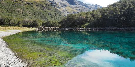Najbistrije jezero na svijetu nalazi se u sklopu Nacionalnog parka Nelsons Lake na Novom Zelandu - 2