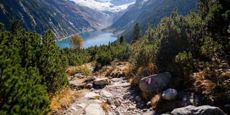 Najbistrije jezero na svijetu nalazi se u sklopu Nacionalnog parka Nelsons Lake na Novom Zelandu - 4