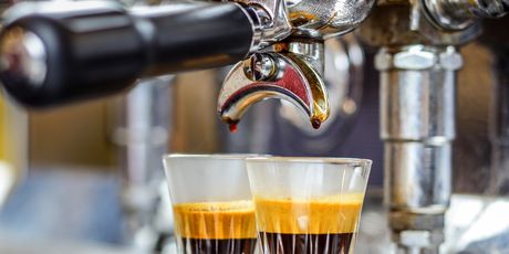Kava