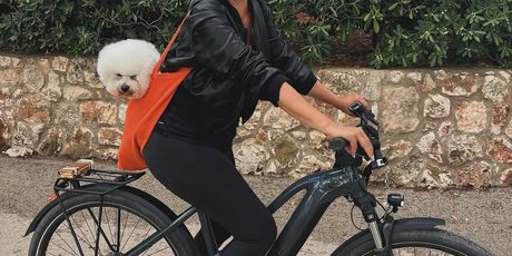 Nina Badrić i Toto