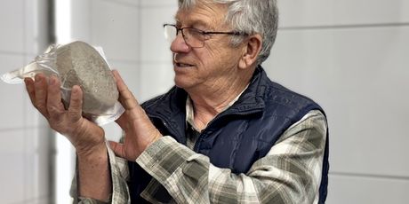 Magriž