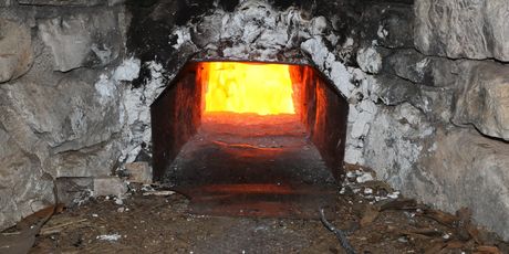 Japlenica