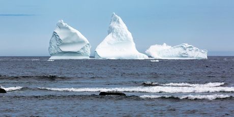 Ferryland, Newfoundland - 8