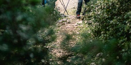 Highlander Lošinj - 4